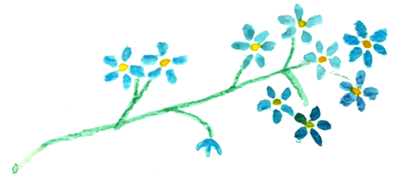 Decoratieve bloemen